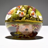 Paul J. Stankard Botanical , Medusa Paperweight - Sold for $2,304 on 02-17-2024 (Lot 67).jpg